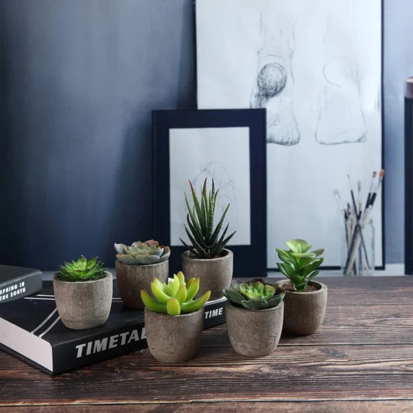 T4U 6er-Set Künstliche Sukkulenten im Topf – Deko für Büro & Zuhause – Bild 7