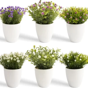 6er-Set Mini Künstliche Pflanzen im Topf – Deko für Büro, Wohnzimmer & Küche